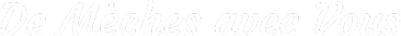 Logo De Mèches Avec Vous